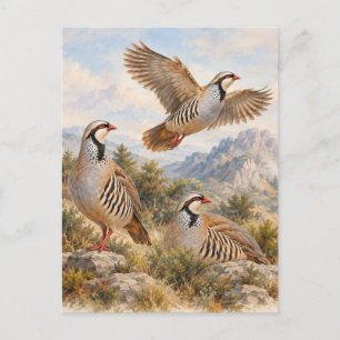 Chukar Rebhuhn-Kunst Feiertagspostkarte