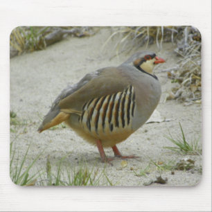 Chukar Rebhuhn Mousepad