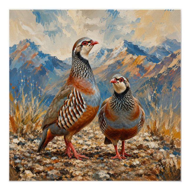 Chukar Rebhuhn-Paar-Kunst  Poster (Vorderseite)