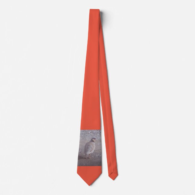 Chukar tie with orange background krawatte (Vorderseite)