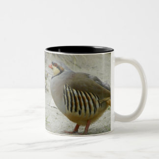chukar zweifarbige tasse