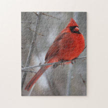 Chunky Bright Red Male Kardinal im Winterschnee