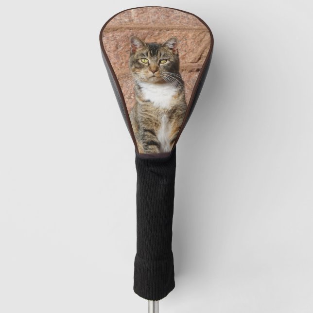 Church Cat Golf Headcover (Vorderseite)
