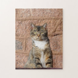 Church Cat Puzzle