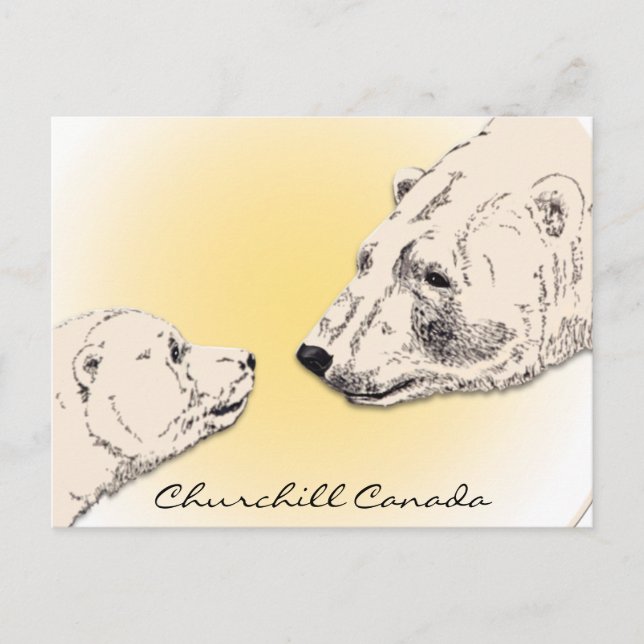 Churchill Canada Postcard Polar Bear Art Cards Postkarte (Vorderseite)
