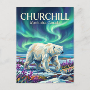 Churchill Eisbären Kanada Postkarte