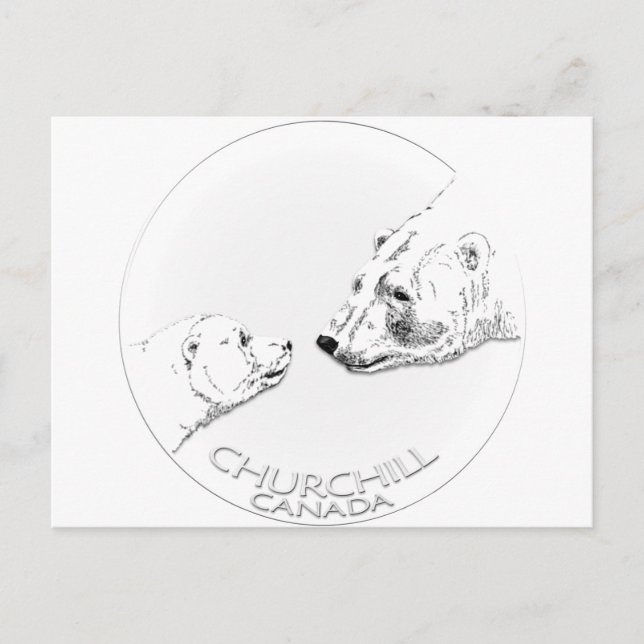 Churchill Souvenirs Polar Bären Kunst Shirt und Ge Postkarte (Vorderseite)