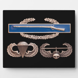 CIB Im Flugzeug Air Assault Fotoplatte