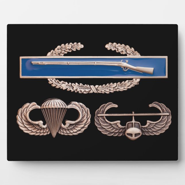 CIB Im Flugzeug Air Assault Fotoplatte (Vorderseite)