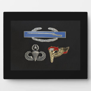 CIB Master Im Flugzeug Pathfinder Fotoplatte