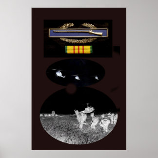 CIB und Vietnam Service Ribbon Poster