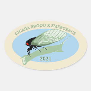 Cicada Brood X Emergence 2021 Ovaler Aufkleber