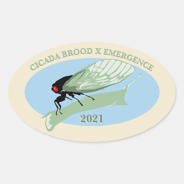Cicada Brood X Emergence 2021 Ovaler Aufkleber (Vorderseite)