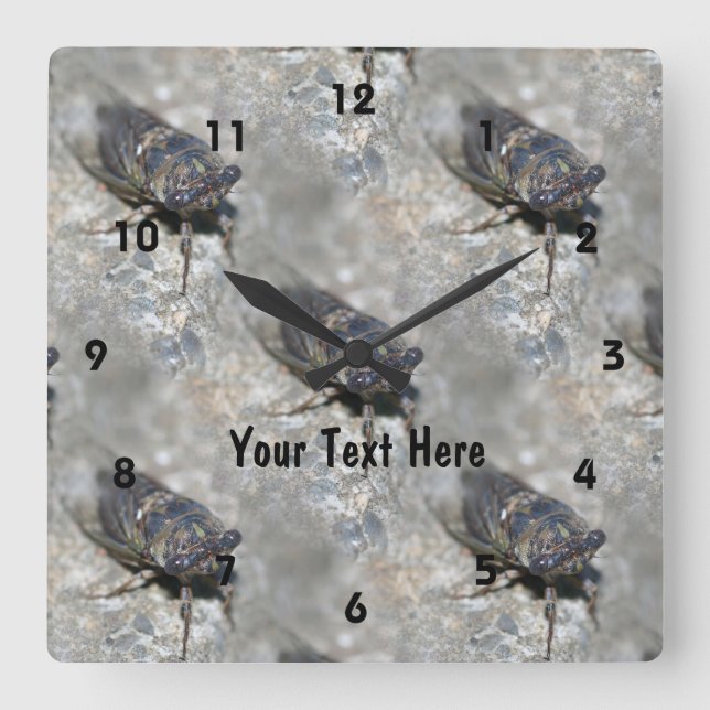 Cicada Bug Face Nature Muster Personalisiert Quadratische Wanduhr (Vorderseite)