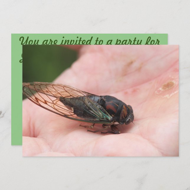 Cicada Einladung (Vorne/Hinten)