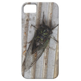 Cicada-Fehler in Ihrem Telefongehäuse iPhone 11 Hülle