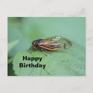 Cicada Foto Birthday Postkarte
