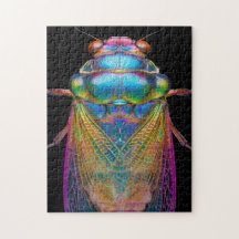 Cicada in leuchtenden Farben auf schwarz