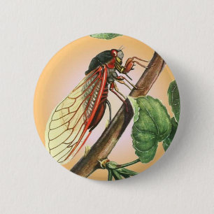 Cicada Insect Illustration Art Button