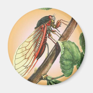 Cicada Insect Illustration Art Magnet