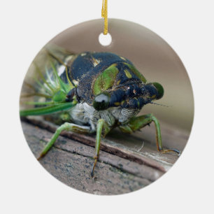 Cicada Keramik Ornament