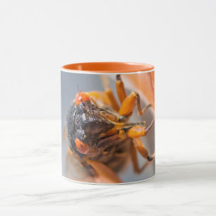 Cicada Mania Magicicada Tasse