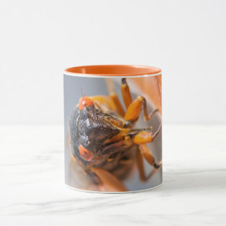 Cicada Mania Magicicada Tasse