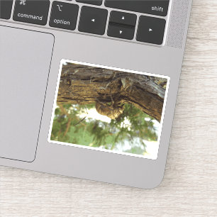 Cicada Muschel. Es war in Eile. Aufkleber