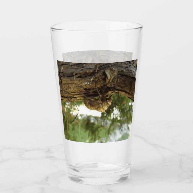 Cicada Muschel. Es war in Eile. Glas (Vorderseite)