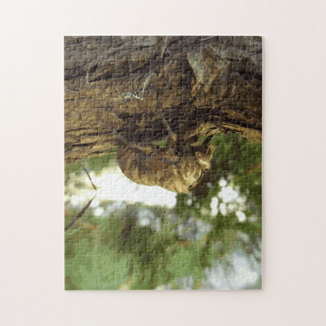 Cicada Muschel. Es war in Eile. Puzzle (Vertikal)