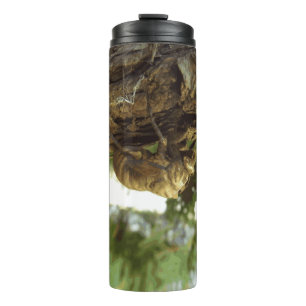 Cicada Muschel. Es war in Eile. Thermosbecher