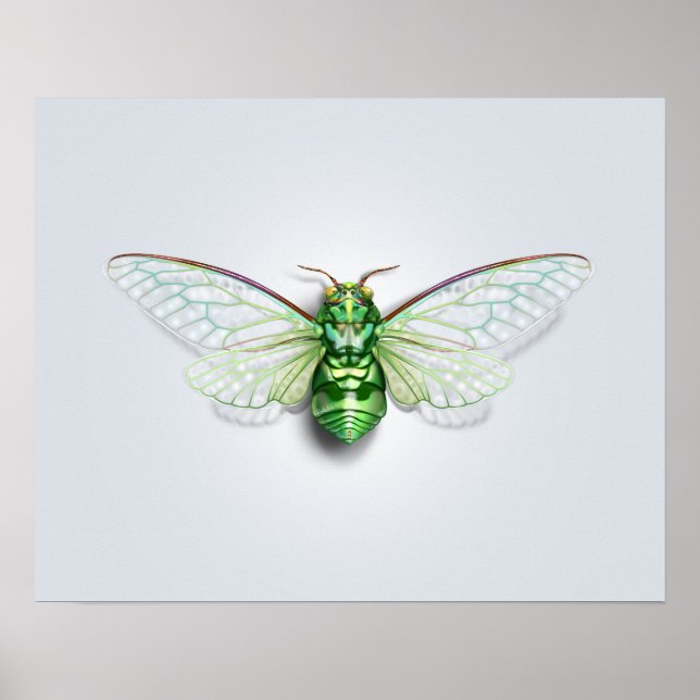 Cicada Poster (Vorne)