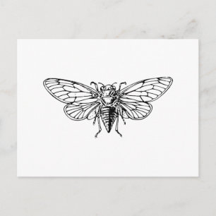 Cicada Postkarte