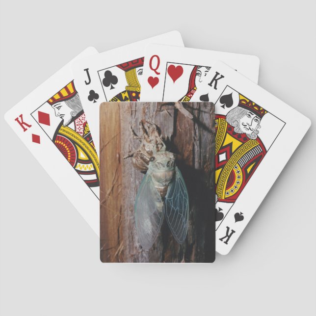 Cicada Spielkarten (Rückseite)