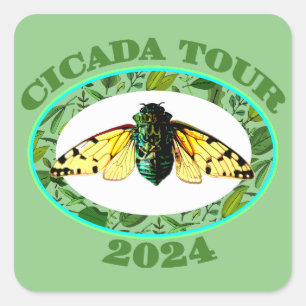 Cicada Tour 2024 Insekt Lover Broods XIII und XIX Quadratischer Aufkleber