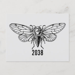 Cicadas 2038 postkarte