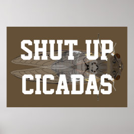 Cicadas beenden poster