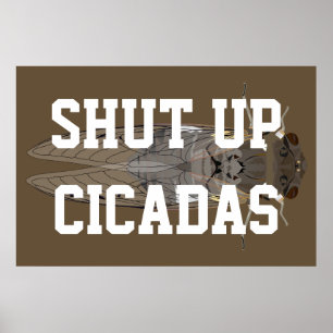 Cicadas beenden poster