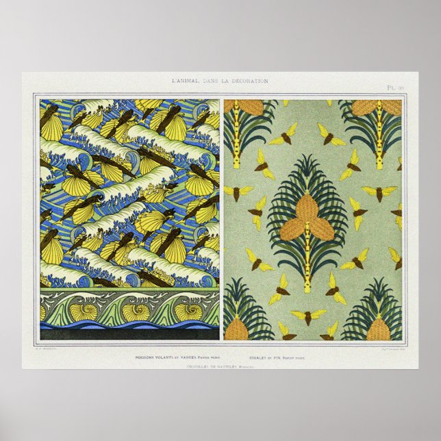Cicadas, Fische und Nautilus-Muscheln Poster (Vorne)