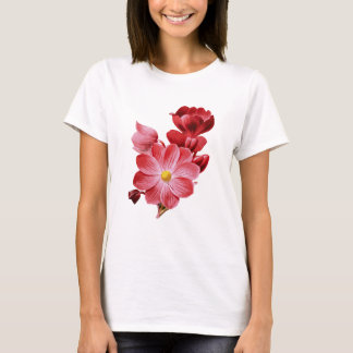Cicy Bell Damen Kurzarm T-Shirt – Weiches Baumwoll