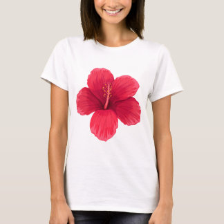 Cicy Bell Damen T-Shirt mit kurzen Ärmeln – weiche
