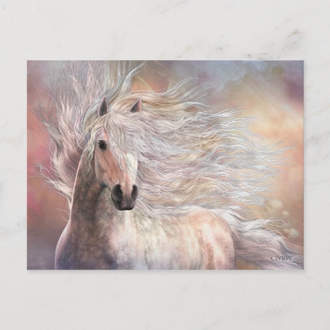 Cielo Postcard Postkarte (Vorderseite)