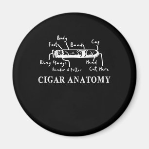 Cigar Anatomie Smoker Humidor Cutter Zigarrengesch Magnet