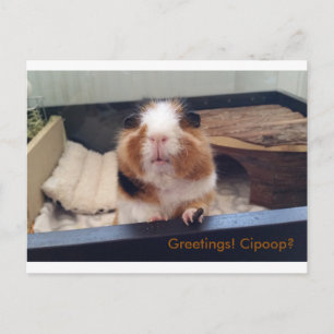 Cigar gekackt Postkarte