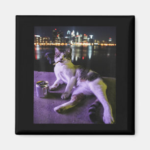 Cigarette Kitten Funny Smoking Cat Meme Stupid Bra Magnet