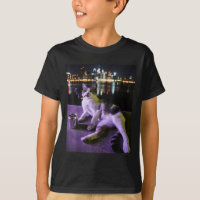 Cigarette Kitten Funny Smoking Cat Meme Stupid Bra