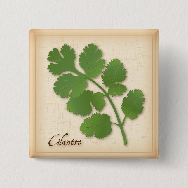 Cilantro Herb Button (Vorderseite)
