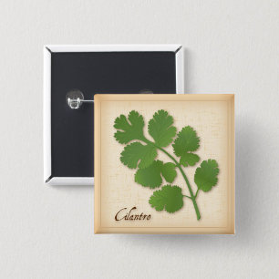 Cilantro Herb Button
