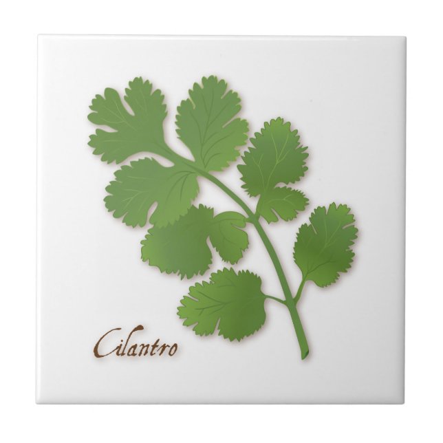 Cilantro Herb Keramik Tile Fliese (Vorderseite)