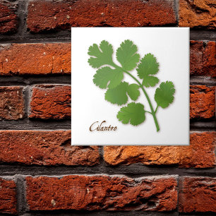 Cilantro Herb Keramik Tile Fliese